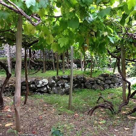 Holidays Madeira São Vicente المظهر الخارجي الصورة