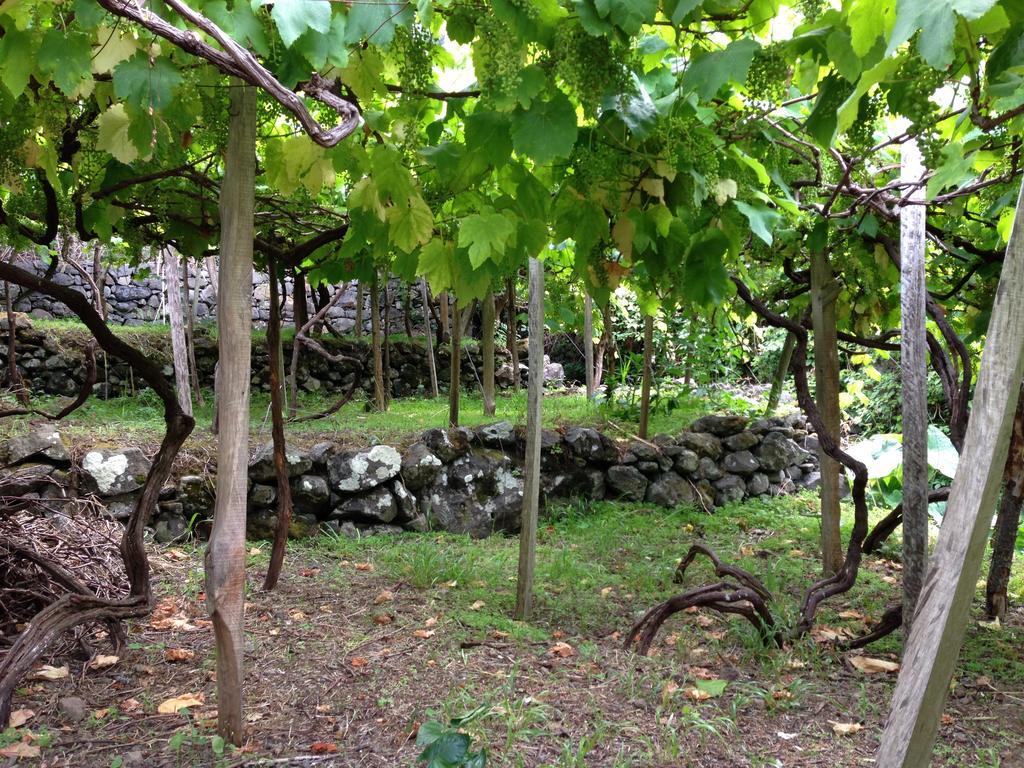 Holidays Madeira São Vicente المظهر الخارجي الصورة